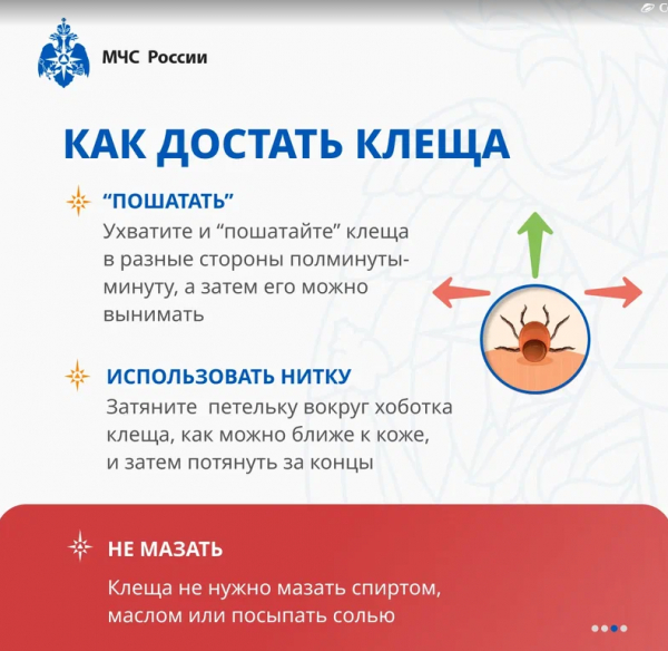 Информационно-профилактическая деятельность и пропаганда безопасности жизнедеятельности среди учащихся
