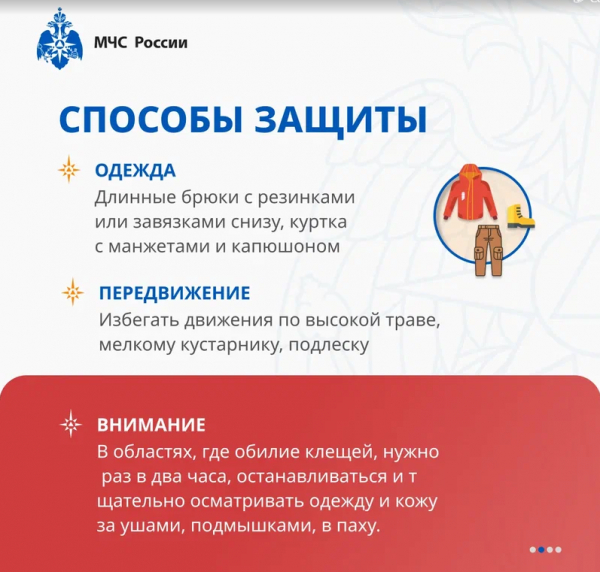 Информационно-профилактическая деятельность и пропаганда безопасности жизнедеятельности среди учащихся
