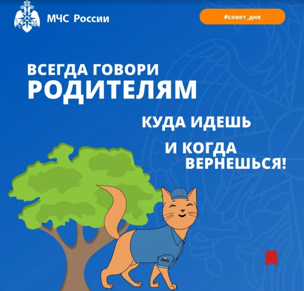 Информационно-профилактическая деятельность и пропаганда безопасности жизнедеятельности среди учащихся